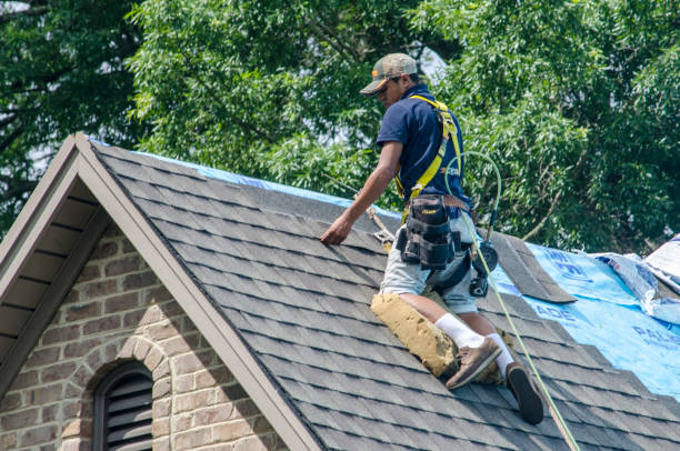 Best Gutter Installation and Roofing  in Leesburg, OH